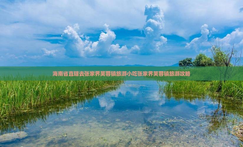 海南省直辖去张家界芙蓉镇旅游小吃