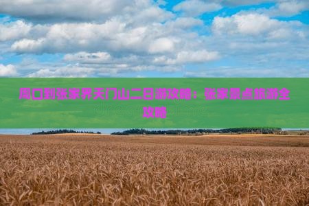 周口到张家界天门山二日游