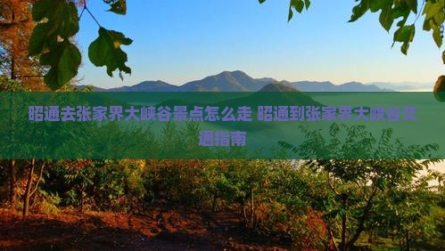昭通去张家界大峡谷景点