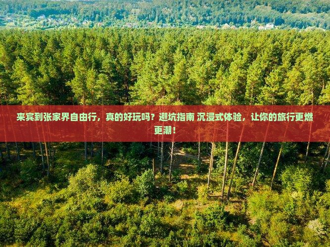 来宾到张家界自由行