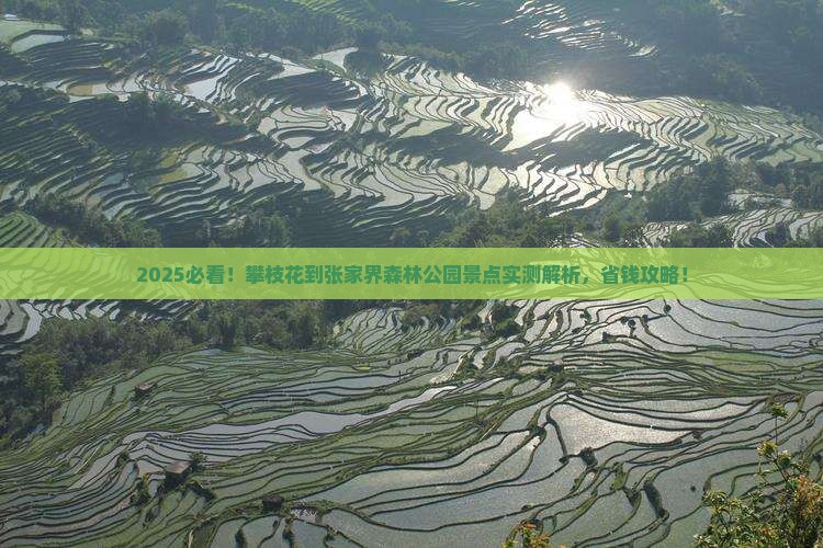 攀枝花到张家界森林公园景点