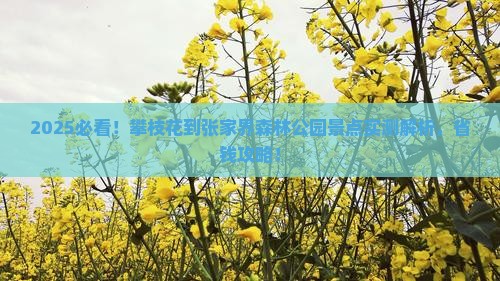 攀枝花到张家界森林公园景点