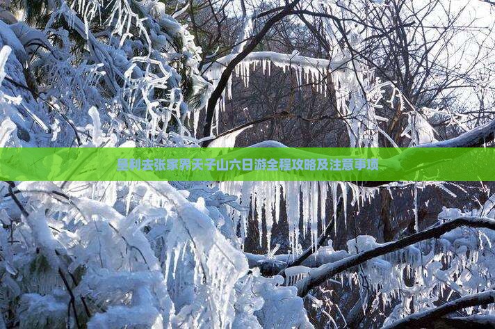 垦利去张家界天子山六日游