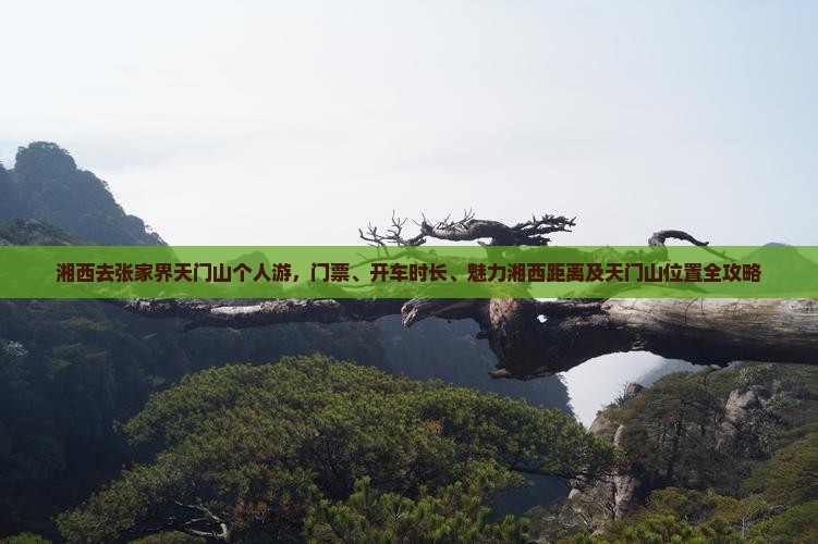 湘西去张家界天门山个人游