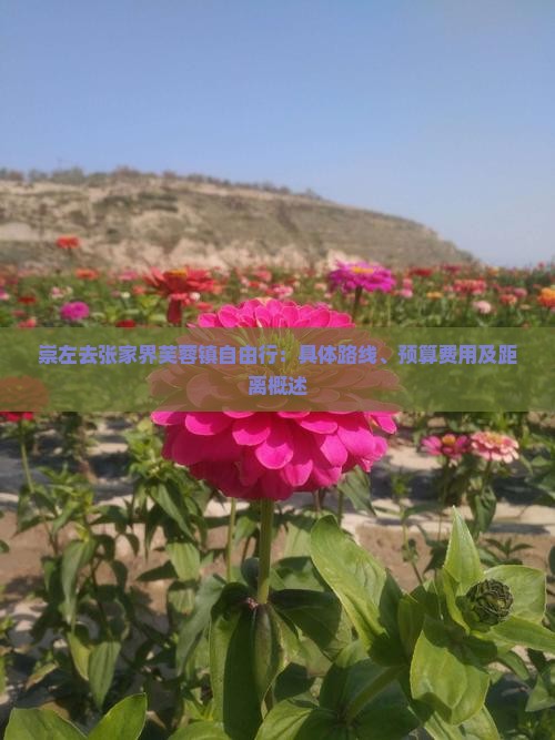 崇左去张家界芙蓉镇自由行：具体路线、预算费用及距离概述