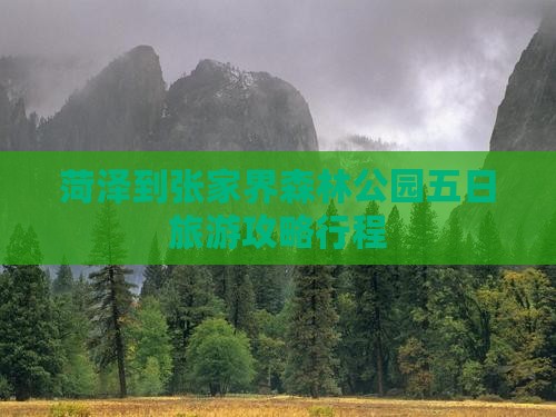 菏泽到张家界森林公园五日旅游攻略行程