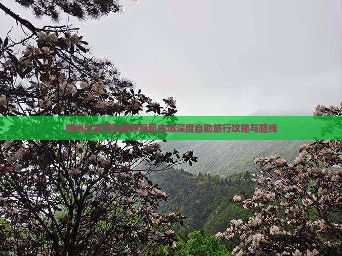 朔州出发至张家界凤凰古城深度自助旅行攻略与路线