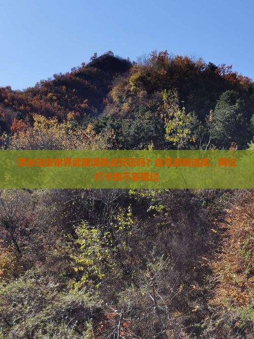 萍乡去张家界武陵源景点