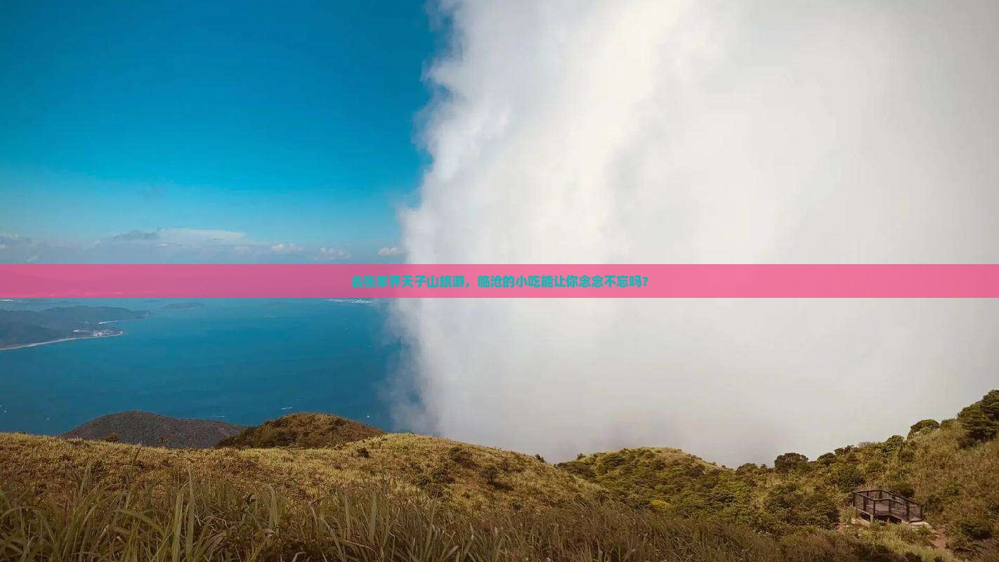 临沧去张家界天子山旅游小吃