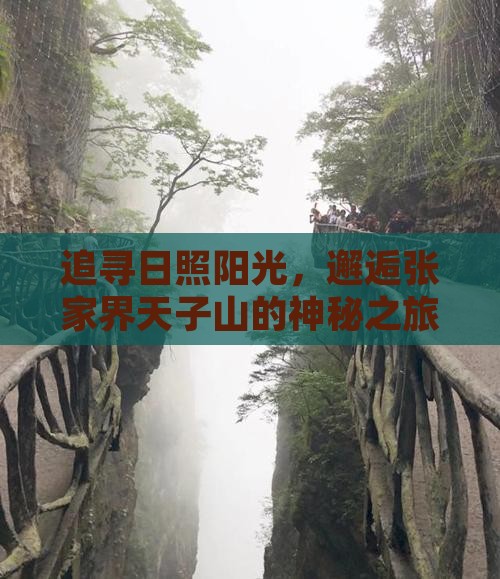 日照到张家界天子山个人游