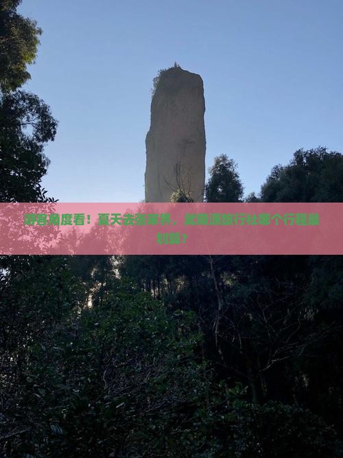 夏天去张家界武陵源旅行社