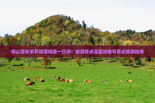 保山去张家界玻璃栈道一日