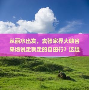 丽水到张家界大峡谷自由行