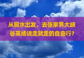 丽水到张家界大峡谷自由行