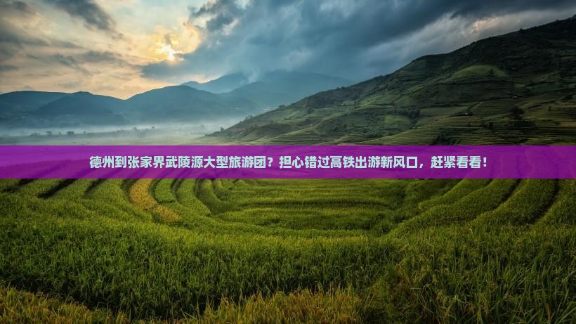 德州到张家界武陵源大型旅游团