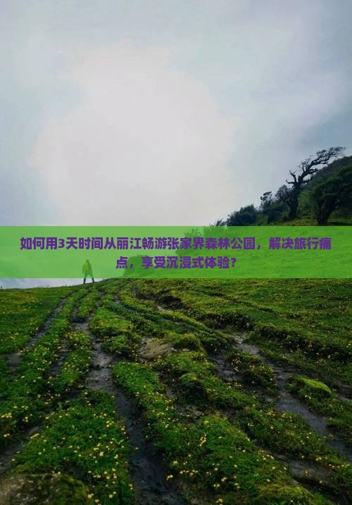 丽江去张家界森林公园三日游