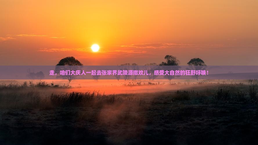 大庆到张家界武陵源团体旅游