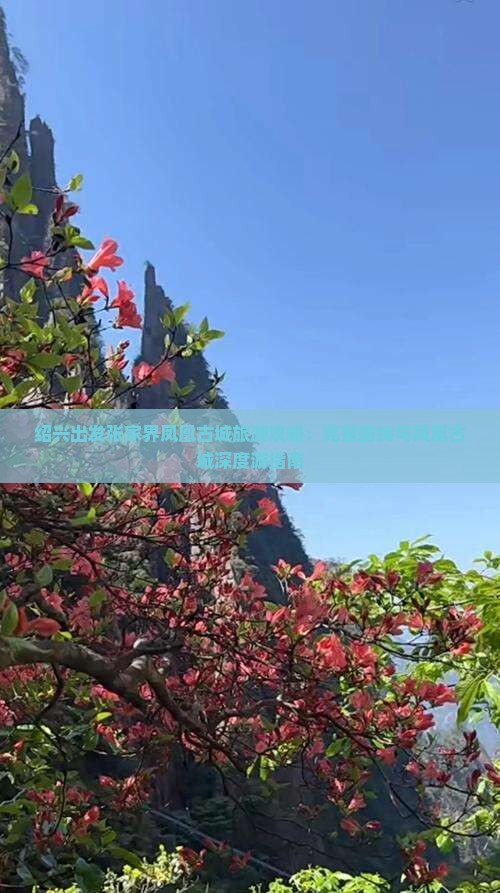 绍兴去张家界凤凰古城景点