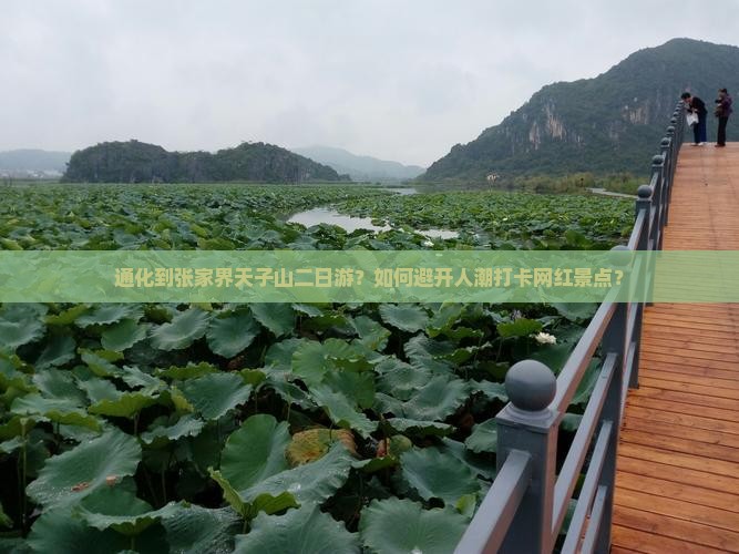 通化到张家界天子山二日游