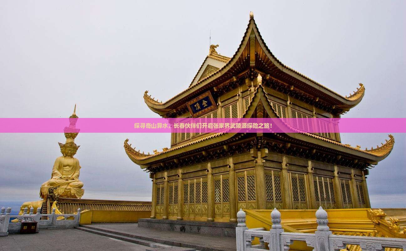 长春去张家界武陵源大型旅游团