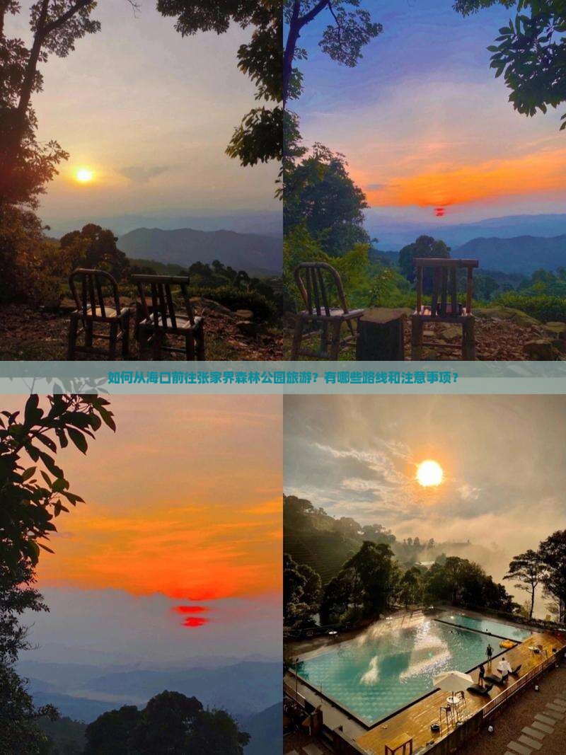 海口到张家界森林公园旅游