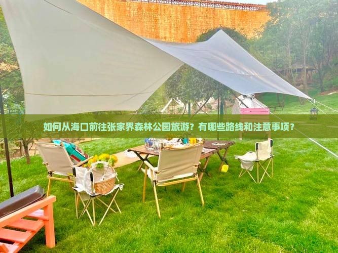 海口到张家界森林公园旅游