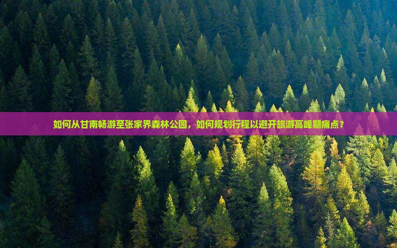 甘南去张家界森林公园哪里玩