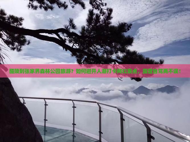 醴陵到张家界森林公园旅游