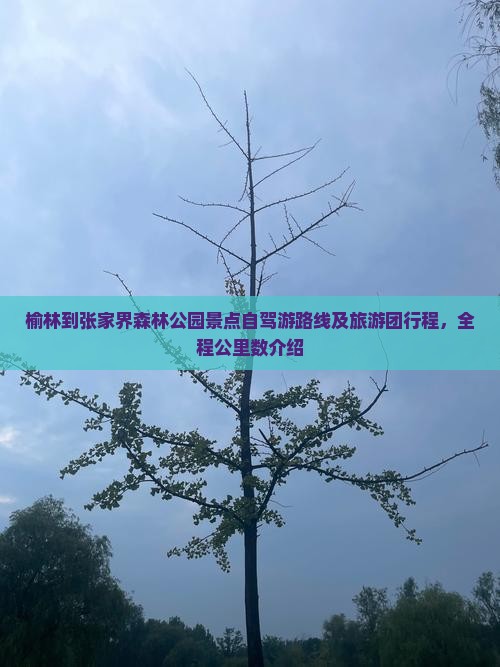 榆林到张家界森林公园景点