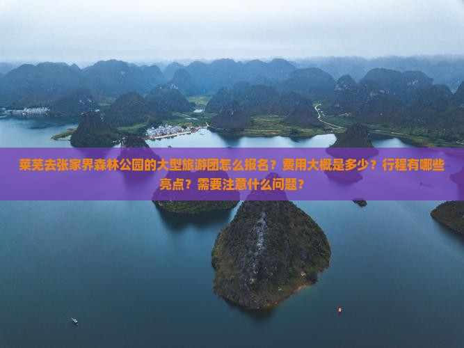莱芜去张家界森林公园大型旅游团
