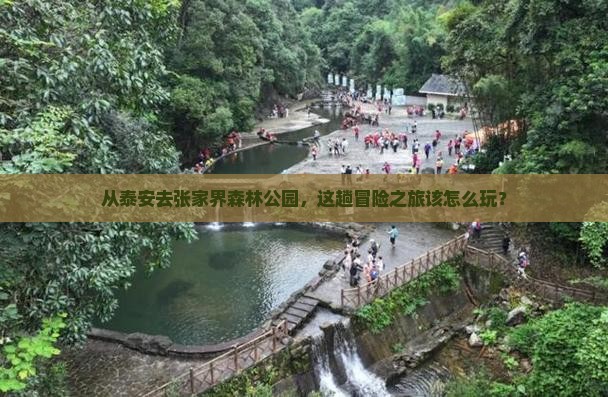 泰安到张家界森林公园旅游