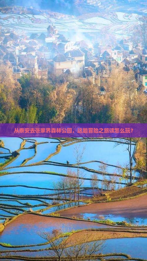 泰安到张家界森林公园旅游