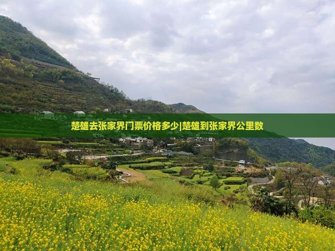 楚雄去张家界门票