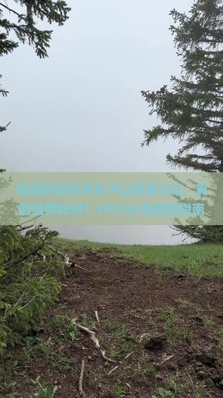 阜阳到张家界天子山旅游小吃