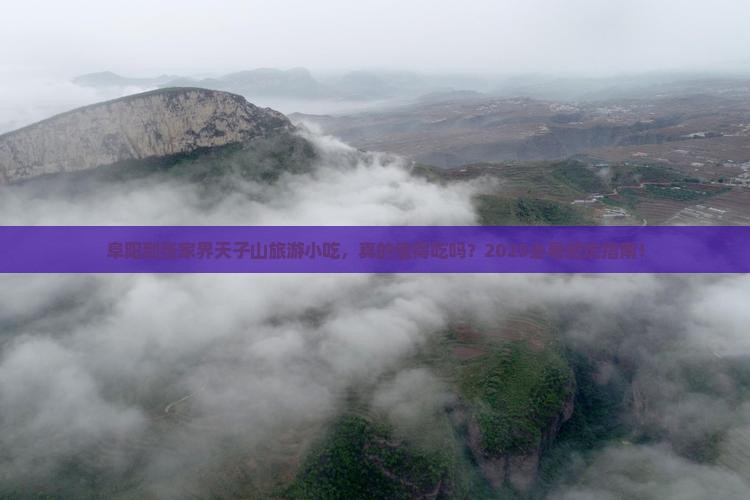 阜阳到张家界天子山旅游小吃