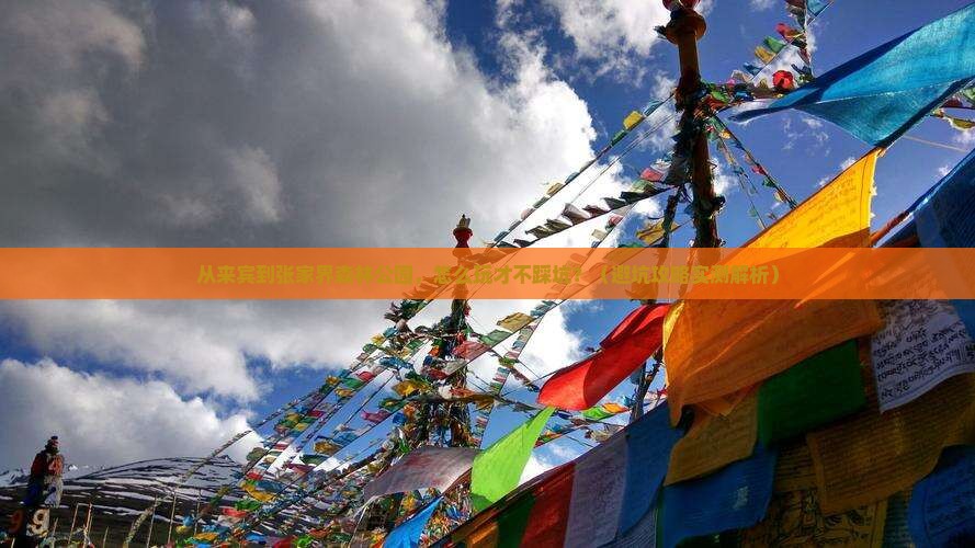 来宾到张家界森林公园门票