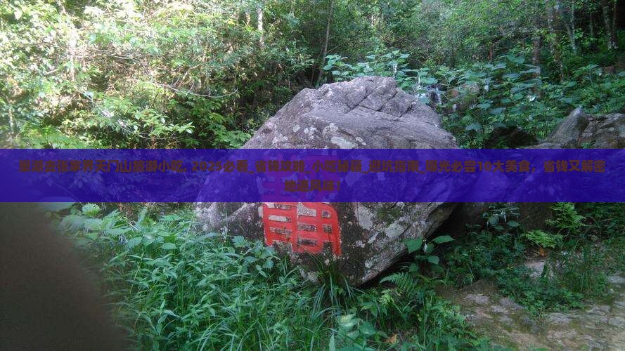 巢湖去张家界天门山旅游小吃