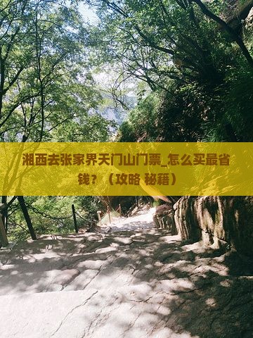 湘西去张家界天门山门票