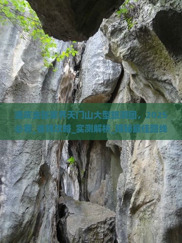 迪庆去张家界天门山大型旅游团