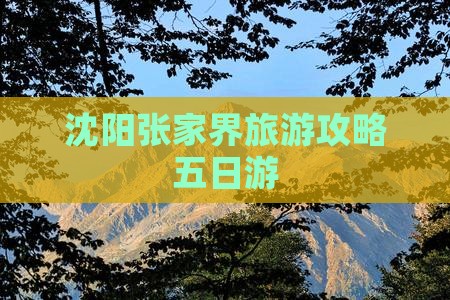 沈阳去张家界大峡谷五日游