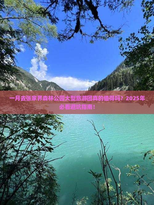 一月去张家界森林公园大型旅游团