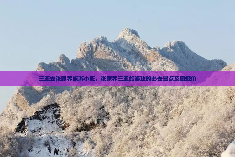 三亚去张家界旅游小吃 三亚去张家界旅游小吃