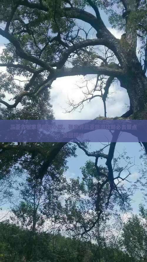 三亚去张家界旅游小吃 三亚去张家界旅游小吃