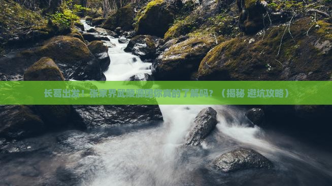 长葛到张家界武陵源大型旅游团
