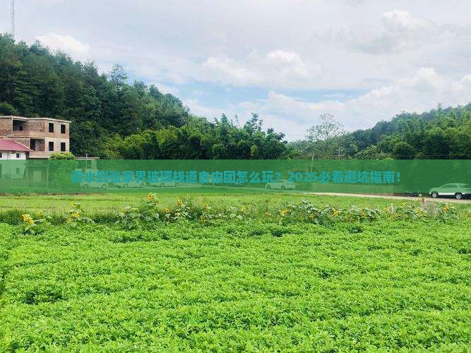 丽水到张家界玻璃栈道自由团