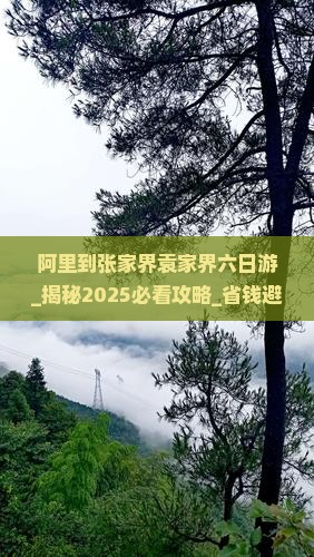阿里到张家界袁家界六日游