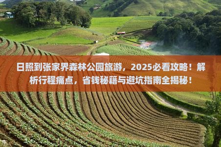 日照到张家界森林公园旅游