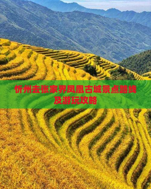 忻州去张家界凤凰古城景点