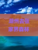 潮州去张家界森林公园自由行