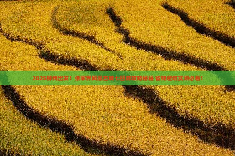 柳州到张家界凤凰古城七日游